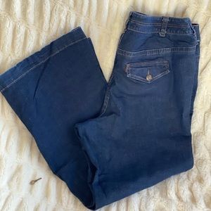 Lane Bryant Plus size flare jeans